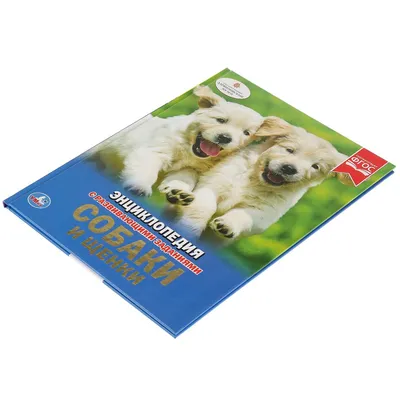 Книга Проф-Пресс Энциклопедия для детей. Собаки купить по цене 505 ₽ в  интернет-магазине Детский мир