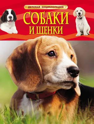 Энциклопедия детская А4 \"Собаки и щенки\" купить в интернет магазине  Растишка в Тамбове