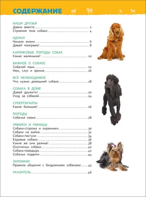 Книга АСТ Большая энциклопедия о кошках и собаках купить по цене 1248 ₽ в  интернет-магазине Детский мир