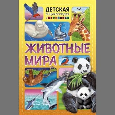 Купить детскую энциклопедию «Животные Мира» в интернет-магазине ЭДДИ Шоп