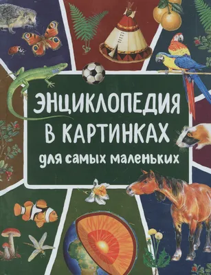 Купить книгу «Энциклопедия для малышей. Животные», | Издательство «Махаон»,  ISBN: 978-5-389-08582-4