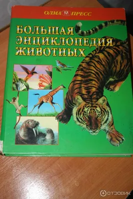 Энциклопедия в картинках. Мир под водой, Аверкиев В. купить по низким ценам  в интернет-магазине Uzum