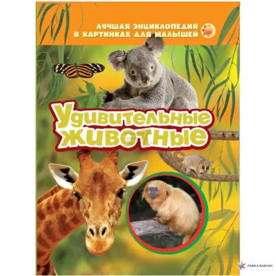 Большой атлас животных в картинках, Эмили Хокинс, Рейчел Уильямс купить по  низким ценам в интернет-магазине Uzum (265463)