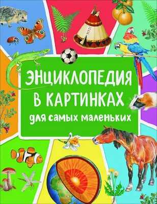 Большая энциклопедия животных - Золотая коллекция - книга ПЕГАС