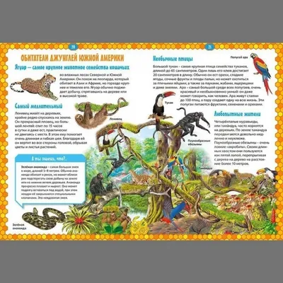 Купить детскую энциклопедию «Животные Мира» в интернет-магазине ЭДДИ Шоп
