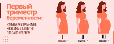 Этапы беременности с процессом оплодотворения и развития эмбриона .  Векторное изображение ©Sabelskaya 233927372