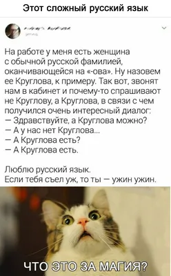 Read Эксмо - Этот сложный русский язык! | Facebook