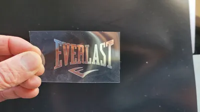 Everlast Logo and symbol, meaning, history, PNG, brand