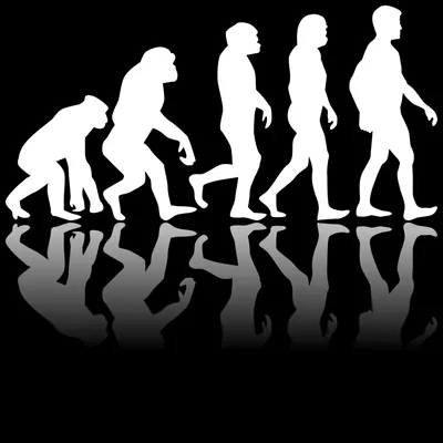 Эволюция человека, от обезьян к космосу, иллюстрация 3d Иллюстрация штока -  иллюстрации насчитывающей история, вялости: 130232435