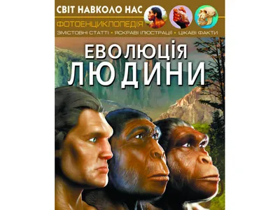 Эволюция Человека — стоковая векторная графика и другие изображения на тему  Эволюция - Эволюция, Дарвин, Мужчины - iStock
