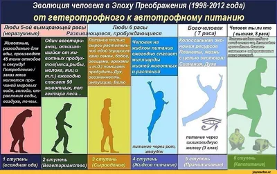 Эволюция животных как серия технологических прорывов / Хабр