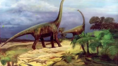 картинки : животное, Рептилия, игуана, Фауна, Ящерица, Эволюция, Вымирание,  Динозавр, Растительноядный, Доисторический период, тиранозавр, Стегозавр,  Юрский 4608x2592 - - 506121 - красивые картинки - PxHere