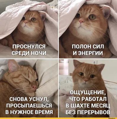 ЮМОР 21+ | Facebook