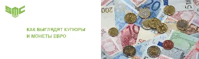 В обороте появятся новые банкноты достоинством 100 и 200 евро - Delfi RU