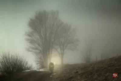 Ёжик в тумане — Википедия
