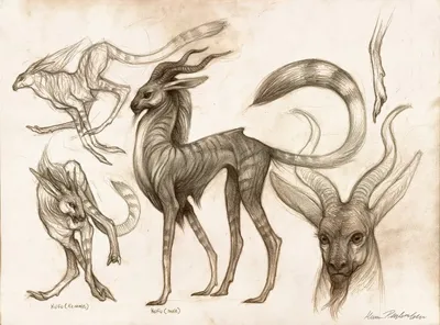 идея для срисовки | Мифические существа, Рисунки драконов, Изображение  дракона