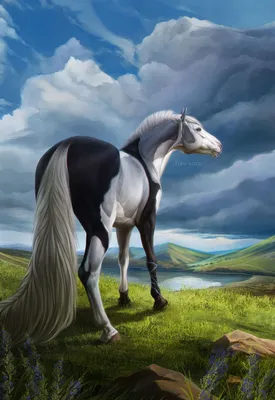 YHH illustration for tkcanine by Firu-sozo on DeviantArt | Horse drawings,  Horse painting, Horse artwork