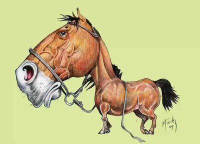 Прикольные рисунки лошади (21 фото) » Рисунки для срисовки и не только