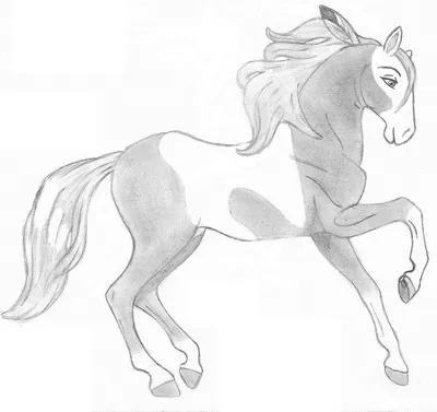 Лошадь рисунок простой (25 фото) » Рисунки для срисовки и не только