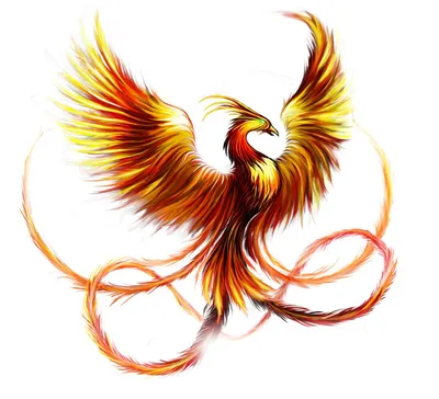 tattoo | Phoenix tattoo, Pheonix tattoo, Phoenix tattoo design
