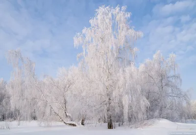 Длится февраль