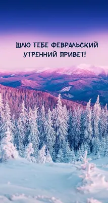 Привет, Февральский шрифт с снегом сверху для сезонной продажи,  рождественский или новогодний постер, модный баннер, печать Рука  Иллюстрация вектора - иллюстрации насчитывающей заморозок, празднично:  164734974