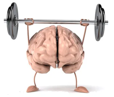 Вот 23 простых упражнения, которые натренируют ваш мозг и память | Sobaka.ru