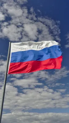 Скачать 938x1668 флаг, триколор, россия, небо, облака обои, картинки iphone  8/7/6s/6 for parallax