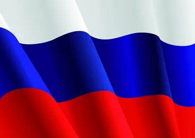 обои : 1920x1200 px, Медведь, флаг, Россия, русский 1920x1200 - goodfon -  1226479 - красивые картинки - WallHere