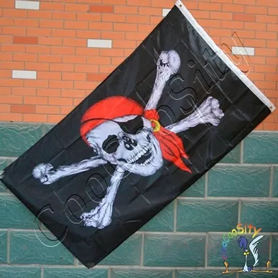 Пиратский флаг Весёлый Роджер/черная метка/на день рождения/пирата SPQR  34106500 купить в интернет-магазине Wildberries