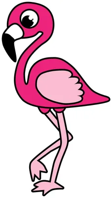 Картинки фламинго для срисовки | Фламинго, Рисунки, Картинки