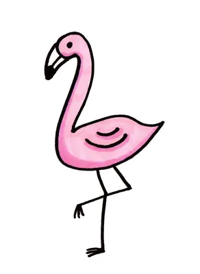 Как нарисовать фламинго / How to draw a flamingo | Легкие рисунки, Рисунки,  Розовые цветовые схемы