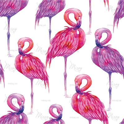 Ручной рисунок сплошного цвета фламинго | Премиум векторы