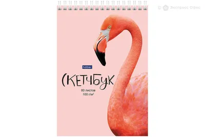 Иллюстрация Розовый фламинго в стиле 2d, живопись, компьютерная