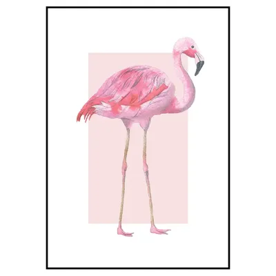 Фламинго раскраска. Скачать и распечатать