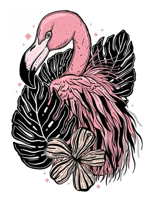 Нарисованная рукой розовая иллюстрация фламинго Иллюстрация штока -  иллюстрации насчитывающей биографической, одно: 119199859