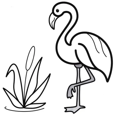 Фото для срисовки фламинго (40 шт)