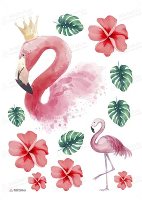 рисунок непрерывная линия рисования фламинго рисованной векторные  иллюстрации минимализм дизайн PNG , рисунок фламинго, рисунок крыла,  рисунок крысы PNG картинки и пнг рисунок для бесплатной загрузки