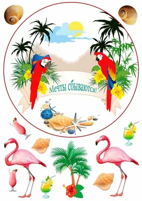 фламинго иллюстрация, птица фламинго Акварельная живопись, рисунок фламинго,  нарисованный, животные, рука png | PNGWing