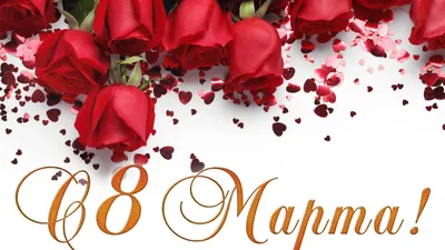 Image International Women's Day tulip present Flowers bow 5426x3617