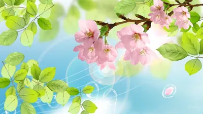 Красивый фон весны природы с цветами Сакуры Стоковое Фото - изображение  насчитывающей япония, марш: 173561078