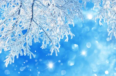 Hd Фон Зима Сезон - Бесплатное изображение на Pixabay - Pixabay