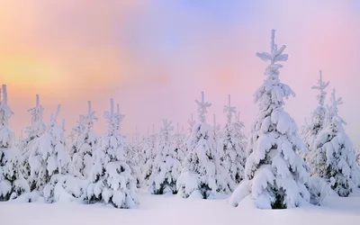 Снежная зима фон стоковое фото. изображение насчитывающей вал - 200912906