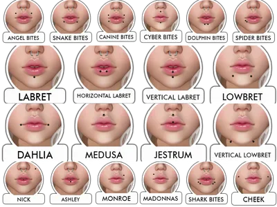 Читай по губам: форма губ расскажет о характере женщины и ее любимом типе  мужчин! | Mixnews