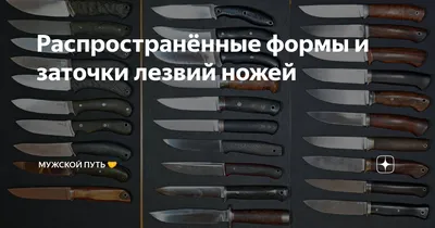 Нож для томатов Fiskars Functional Form 1057543, 11,3 см купить, цены в  Москве на Мегамаркет