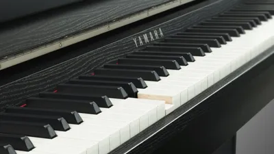 Фортепиано это - что такое фортепиано, размеры пианино, виды, устройство и  как выглядит