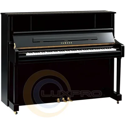 Фортепиано U1J PE Yamaha LUX-294024 - купить по лучшим ценам в Киеве,  узнать стоимость на Рояли, фортепиано, дисклавиры в интернет магазине LuxPRO