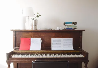 Что нужно знать, чтобы научиться играть на фортепиано?