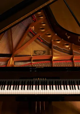 Акустические фортепиано - Музыкальные инструменты - Продукты - Yamaha -  Россия