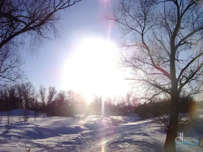 Яркое солнце в небе , красиво , …» — создано в Шедевруме
